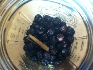 I'm trying the same procedure with some wild raspberries. Can't wait to share the results. 