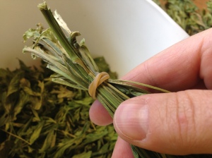 So glad I used elastic bands to keep my bundles together. For right now, I want all my different herbs separate. 
